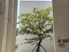 -中国宣纸文化园