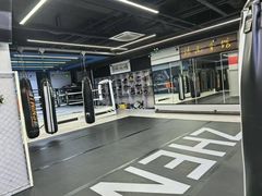 -臻元搏击格斗泰拳拳馆(港隆店)