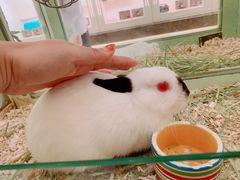 -龙猫仔乐园(惠福东路店)