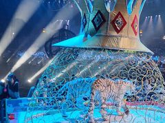 -广州长隆国际大马戏