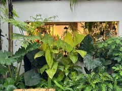 -自由生长植物工作室(深港花卉中心店)