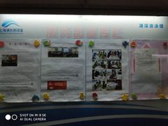 -小海豚国际游泳培训中心(浦东源深体育中心店)