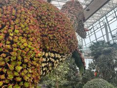 -沈阳植物园