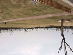 草坪-明珠湖天鹅苑·农家菜馆