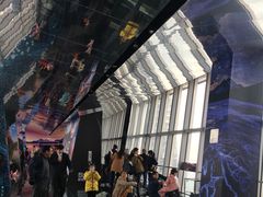 -上海环球金融中心云端足球盛典