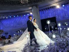 -云境生态园(高新旗舰店)