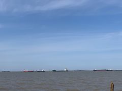 -上海滨江森林公园