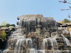 -北京西山国家森林公园