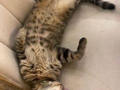 -么么咖啡(燕郊店)