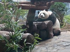 -乐和乐都主题乐园