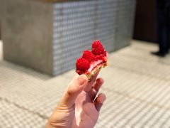 树莓挞-Luneurs(幸福里店)