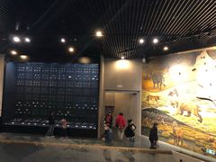 -北京周口店北京人遗址博物馆