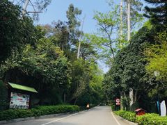 -三门江国家森林公园