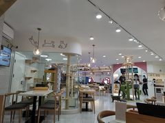 -喵园·猫主题咖啡厅·撸猫·猫咖(国贸店)