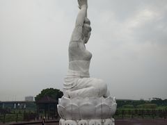 -荷塘月色湿地公园·向阳花洲