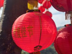 -深圳仙湖植物园