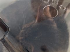 -派美特宠物医院·核磁CT·骨科肿瘤·疑难转诊(沈农禾丰店)