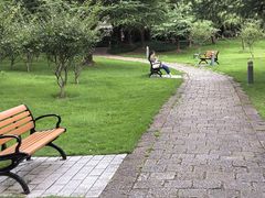 -新虹桥中心花园