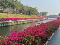 -深圳湾公园(南山区)