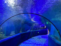 -梦幻海洋王国(吾悦广场张家港店)