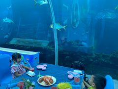 -海棠湾洲际-涛·海底餐厅·美人鱼·自助餐·海底隧道