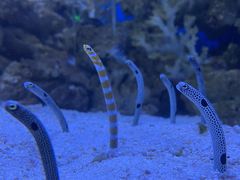 -成都浩海立方海洋公园