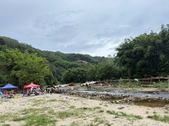 -广州白江湖森林公园