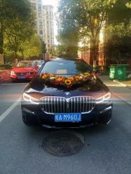 -蚂蚁婚车