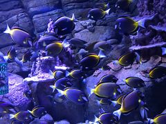 -成都浩海立方海洋公园