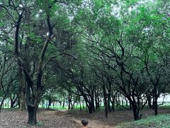 -天河儿童公园