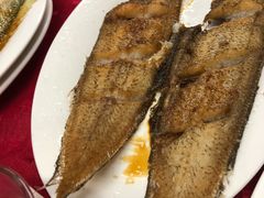 -蛇口康乐快餐鱼仔档(翠苑小区店)