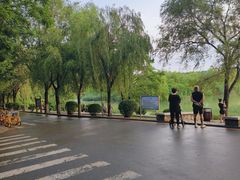 -丁香湖公园