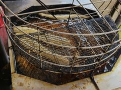 -汪记鲜鱼糊汤粉(沈阳路总店)