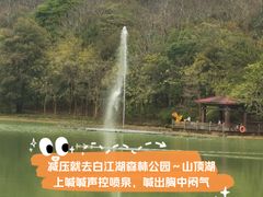 -广州白江湖森林公园