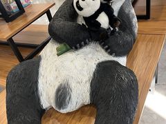 -安徽大青山野生动物世界