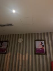 -静博士·养生养颜