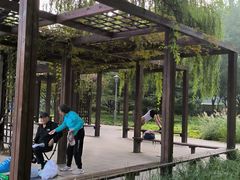 -望湖公园