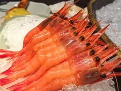 -上井精致料理自助餐(松雷店)