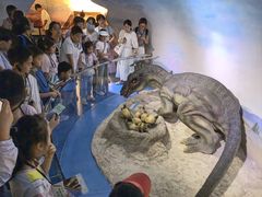 -国家自然博物馆