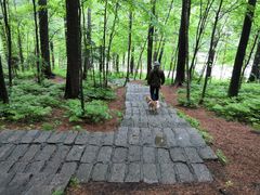 -五营红松林海景区