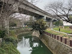 -神仙树公园