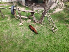 -青藏高原野生动物园