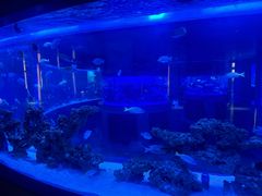 -上和臻品中国菜(花园街店)