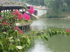 -植物园哈利亚餐厅