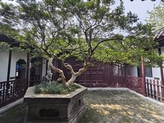 -水绘园