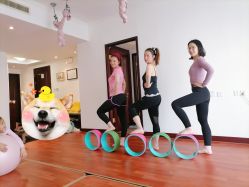 -Yvon yoga 瑜伽·精准体态管理中心