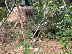 -北京西山国家森林公园