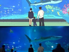 -烟台海昌鲸鲨海洋公园