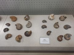 -辽宁古生物博物馆