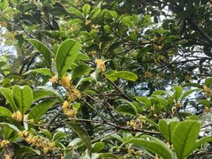 -狼山风景名胜区